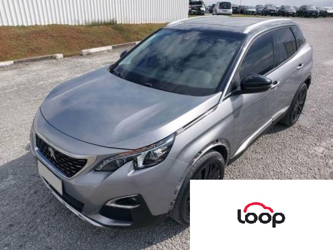 PEUGEOT 3008 18/19